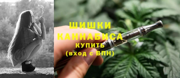 ECSTASY Богданович