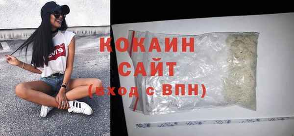 ECSTASY Богданович