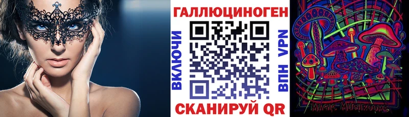 Псилоцибиновые грибы Psilocybine cubensis  Малоярославец 